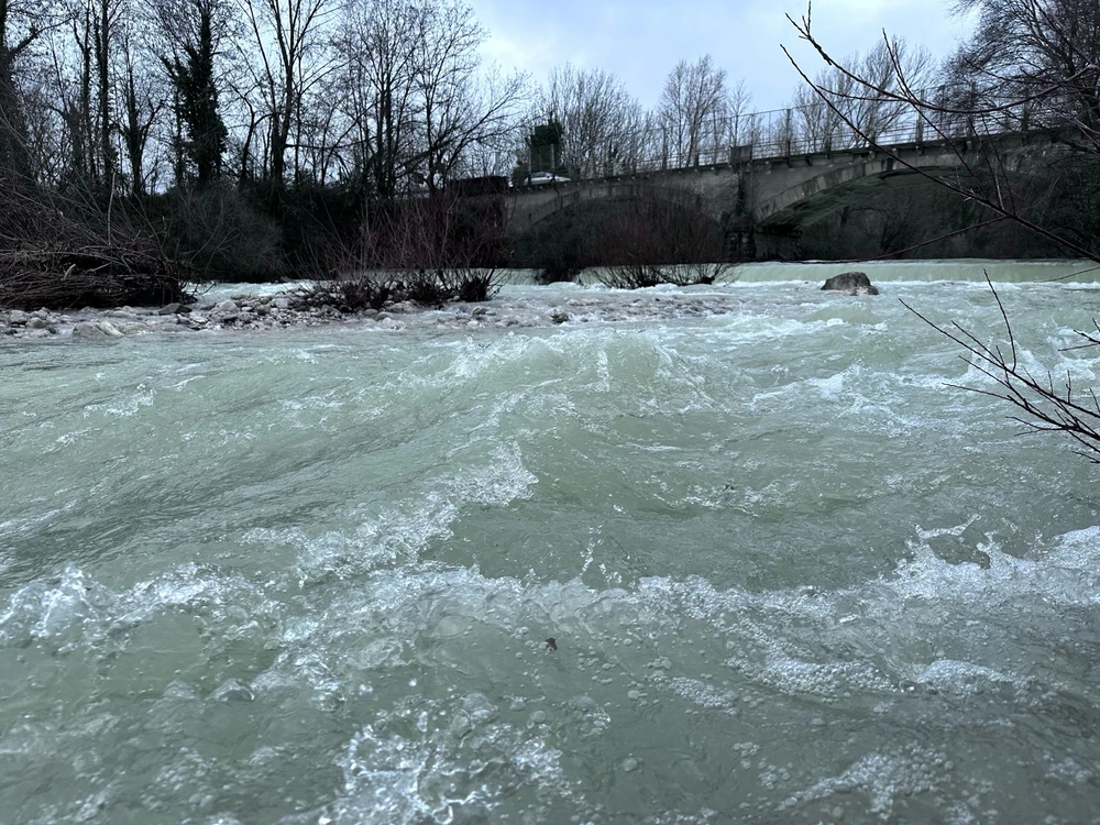 Image uploaded by Michele