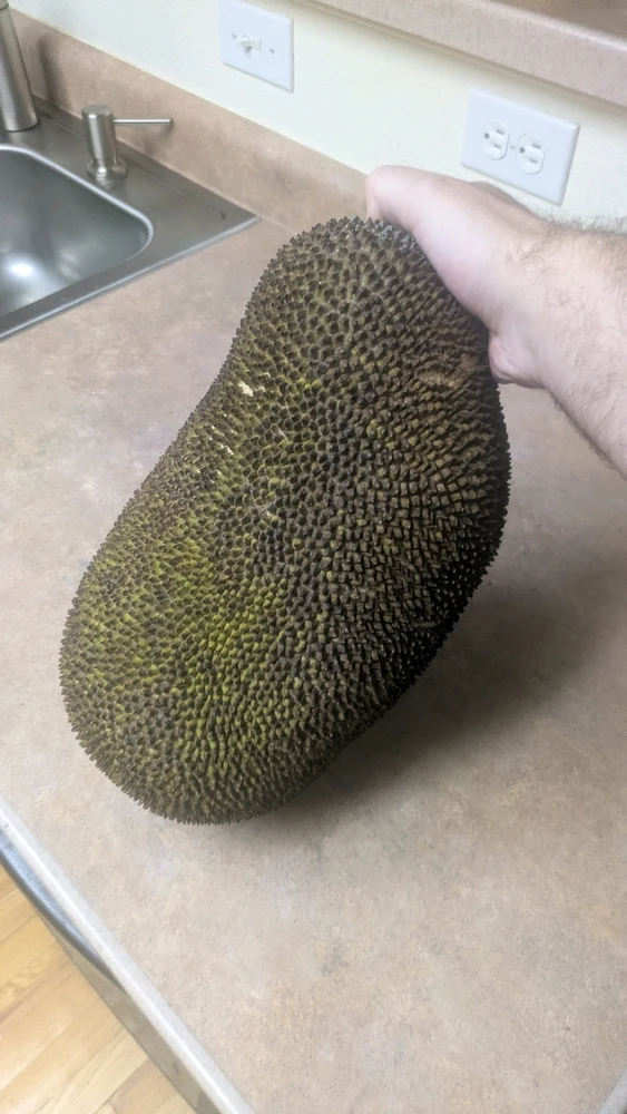 GIF uploaded by Matthew