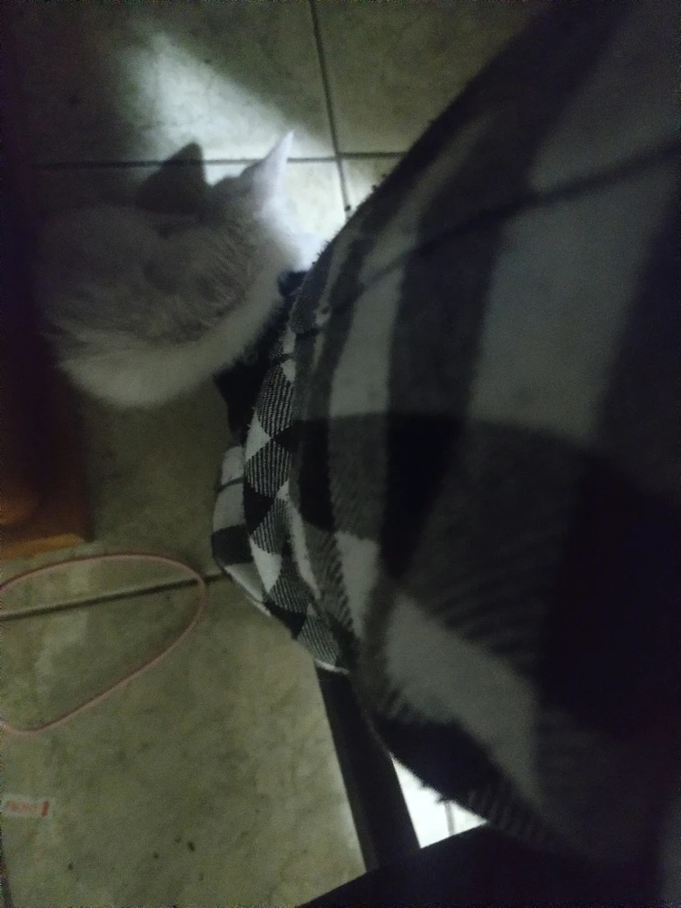 GIF enviado por Luiz Fernando