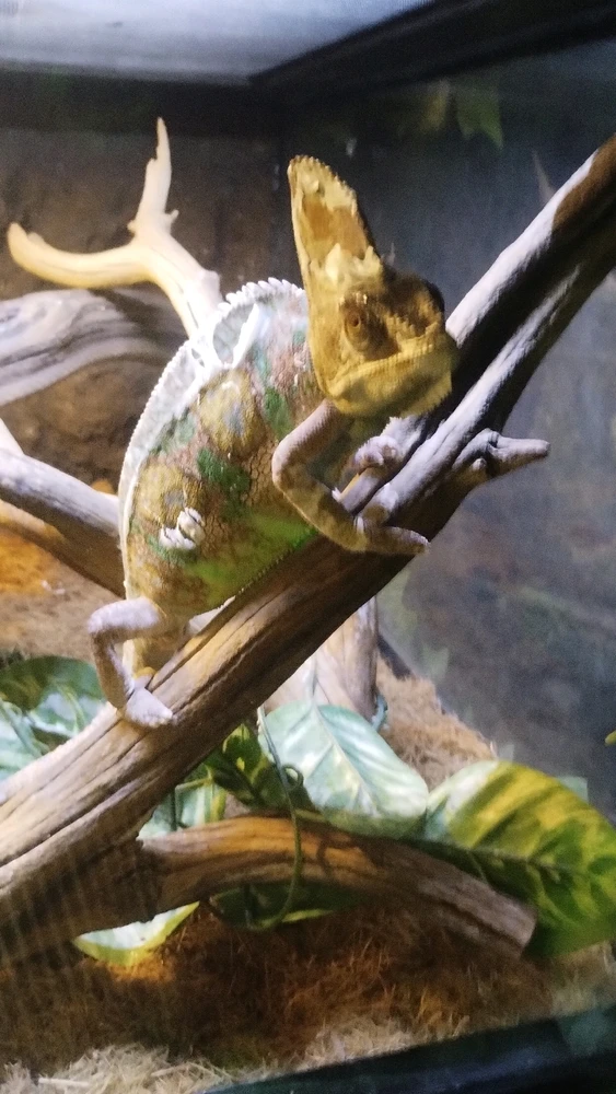 Imagen subida por Jenny