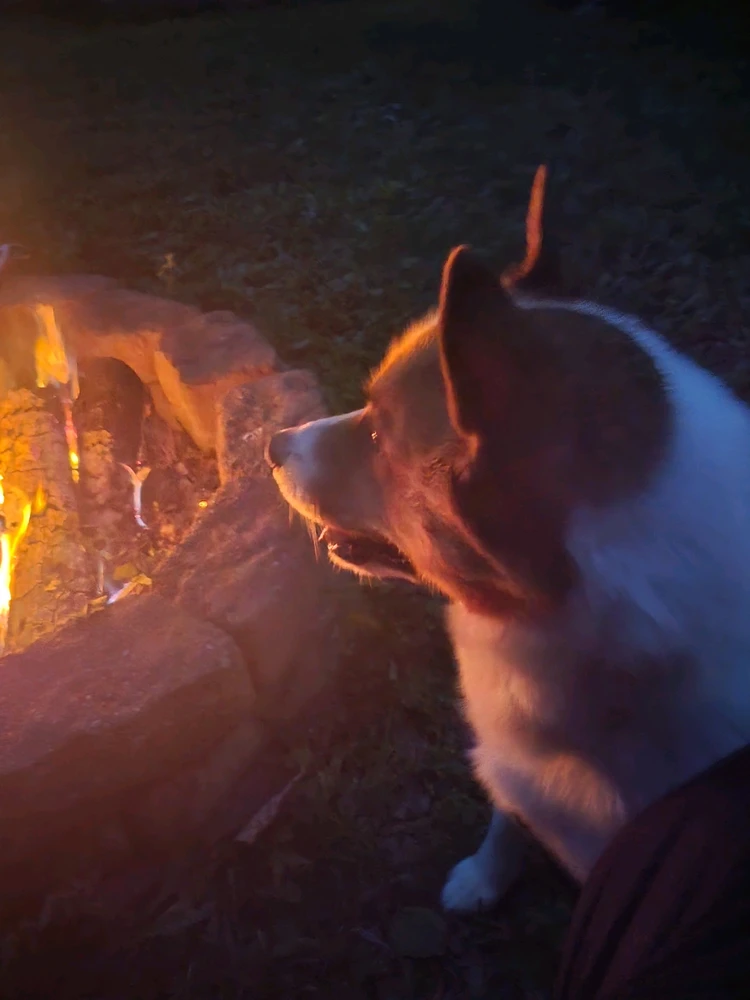 Image uploaded by Kris