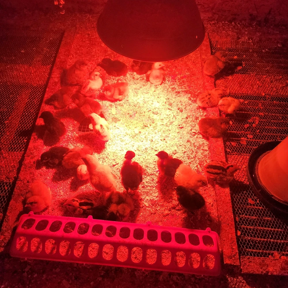 GIF uploaded by Edgar