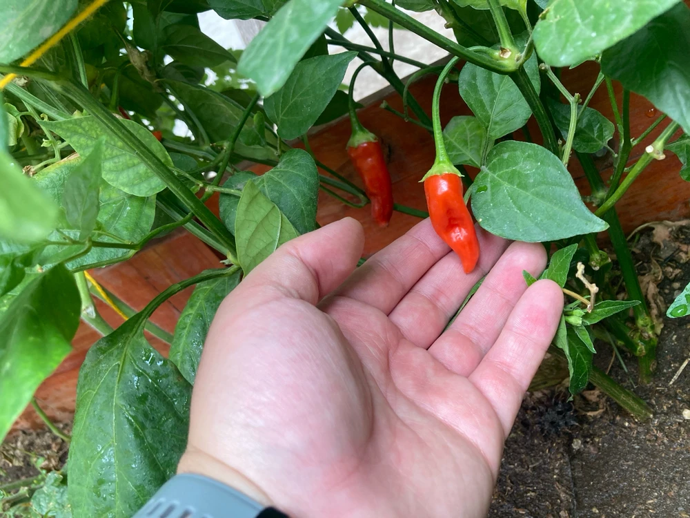 Imagen subida por Juan Pablo