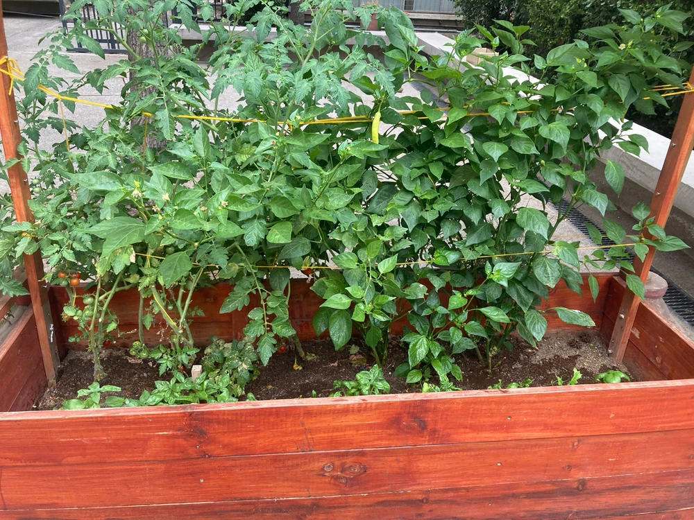 Imagen subida por Juan Pablo