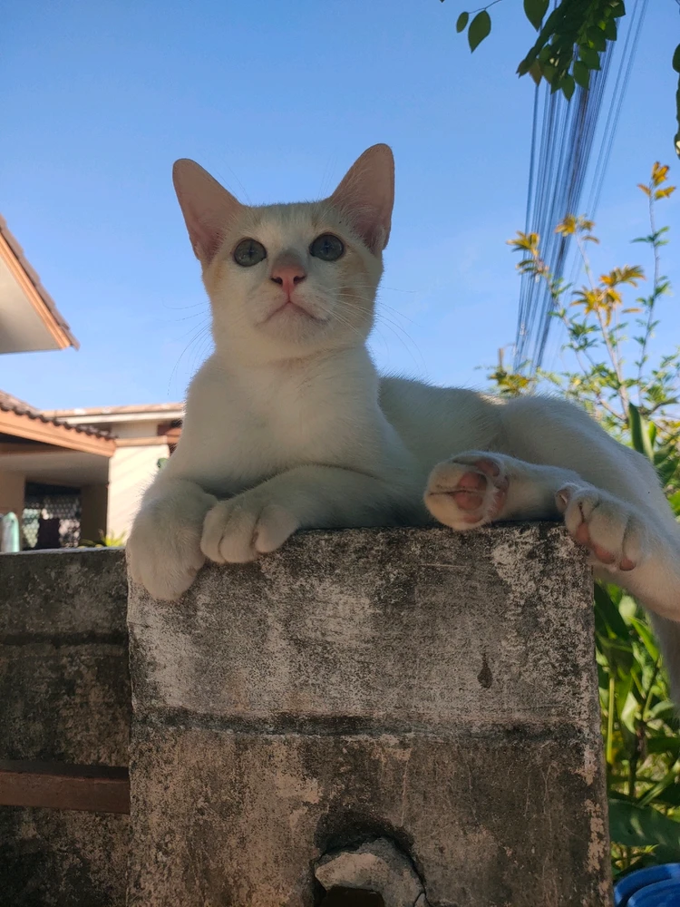 GIF uploaded by Jellyfish