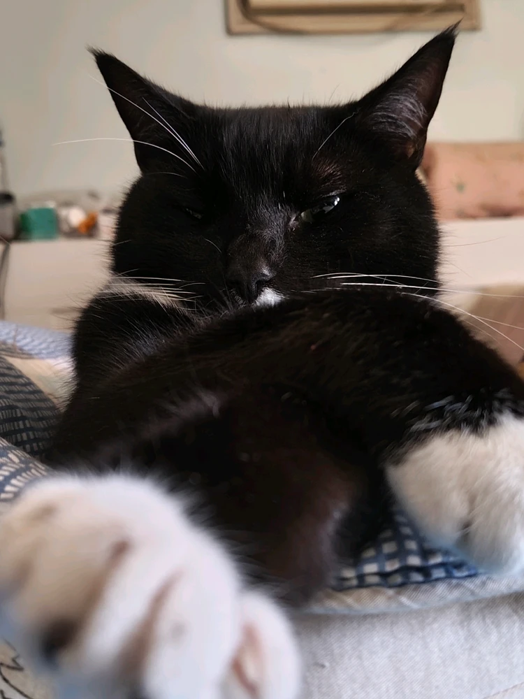 GIF uploaded by Eddie