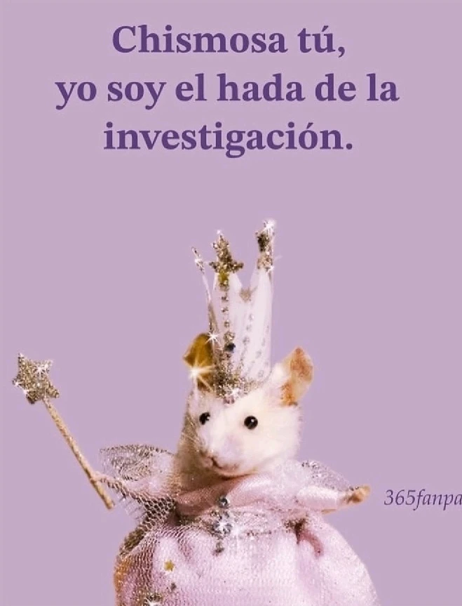 GIF uploaded by Magui