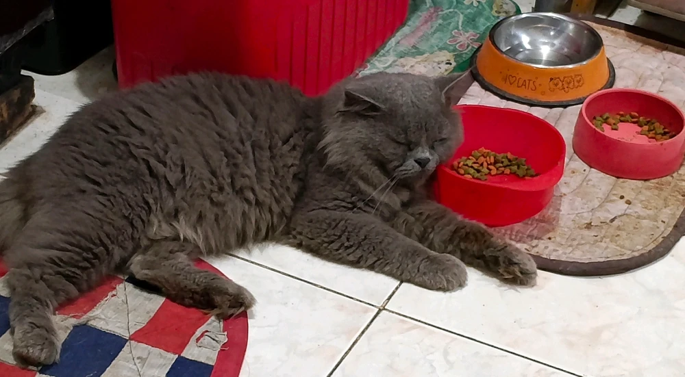 GIF uploaded by Valerie