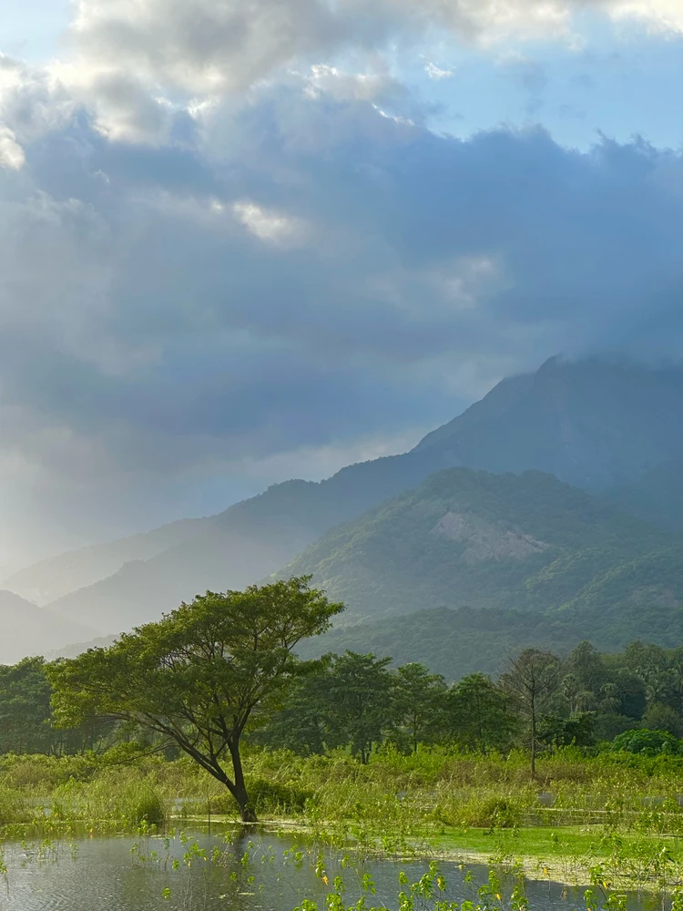 GIF uploaded by Joel