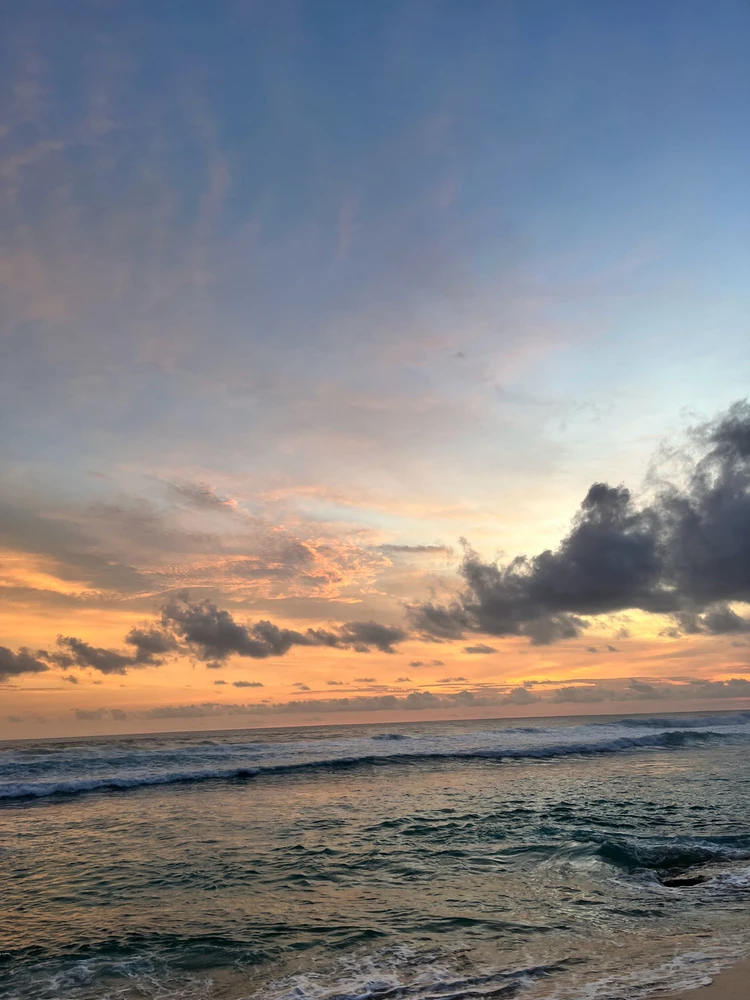 Image uploaded by Amelia