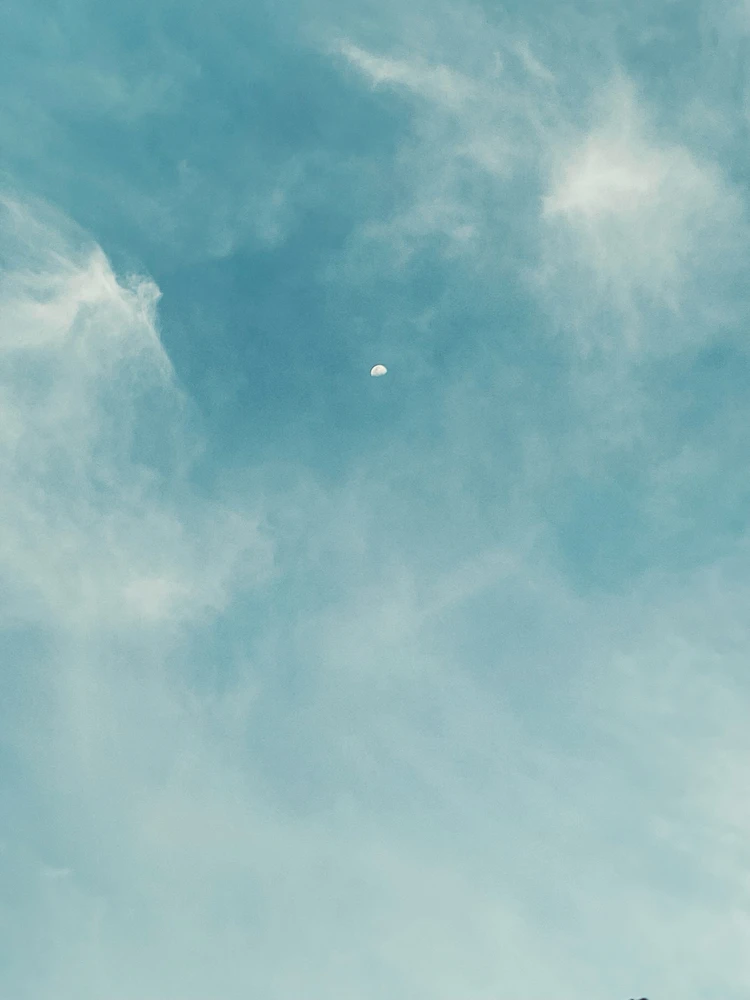 GIF diunggah oleh Sheina