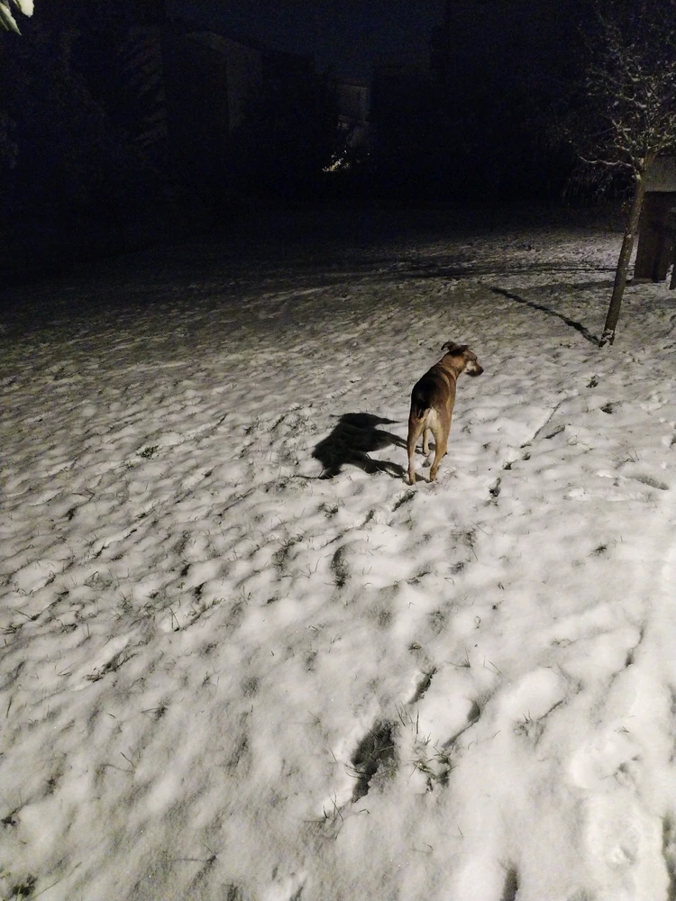 GIF ajouté par Jilu