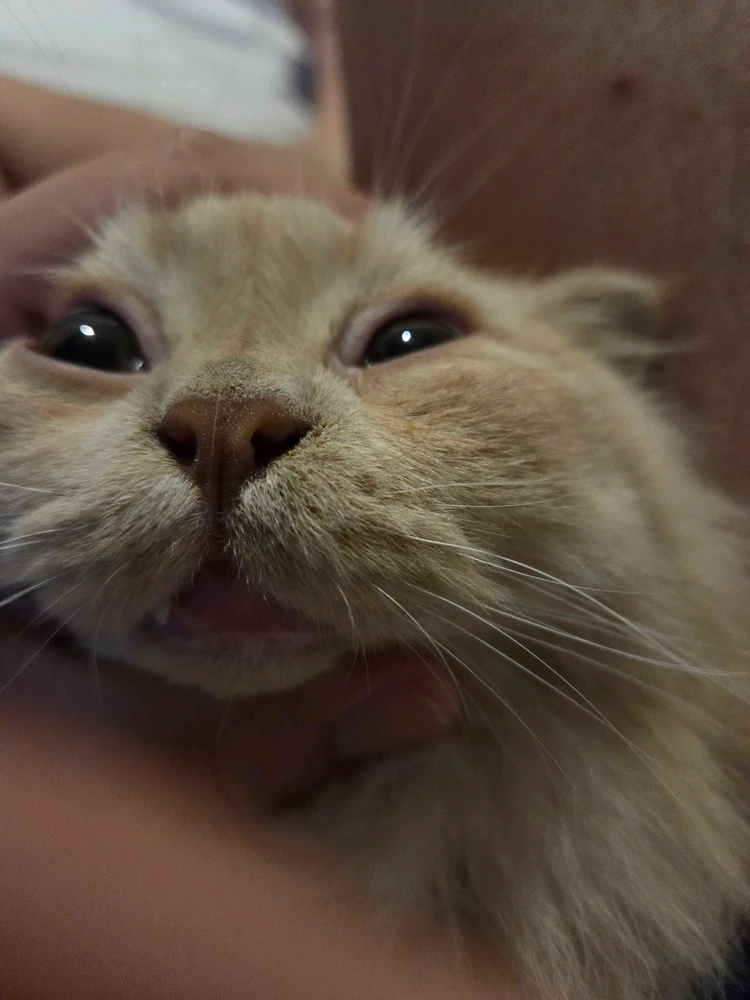 Image uploaded by Ernesto