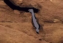 GIF uploaded by Will