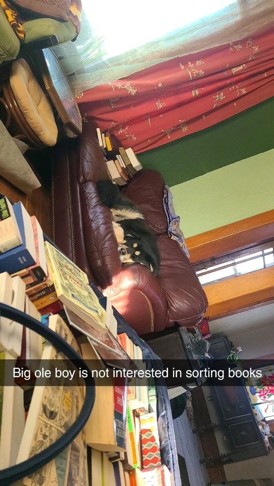 GIF uploaded by Julia