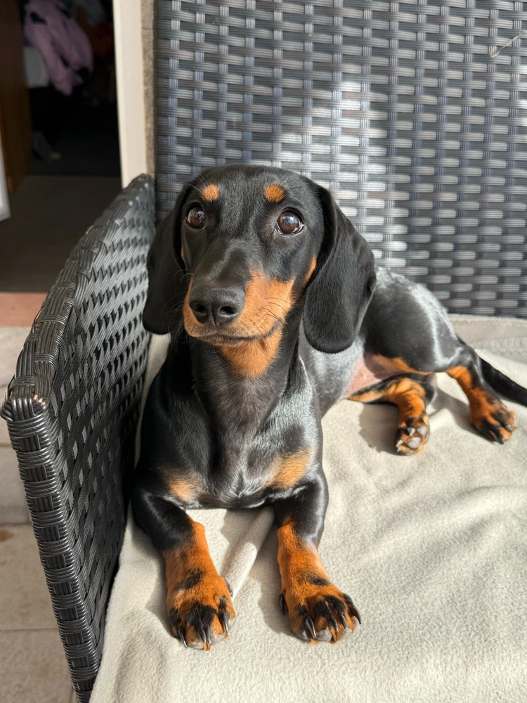 Obrázek nahrál Hana