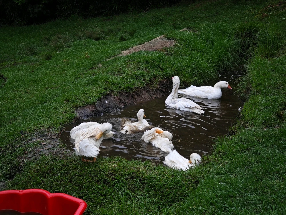 Image uploaded by CheffieGR