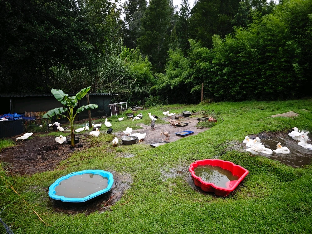 Image uploaded by CheffieGR