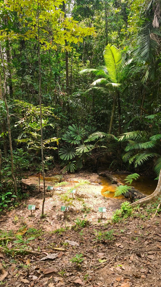 GIF uploaded by nurul