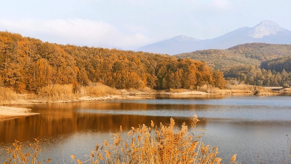 Image uploaded by Şafak