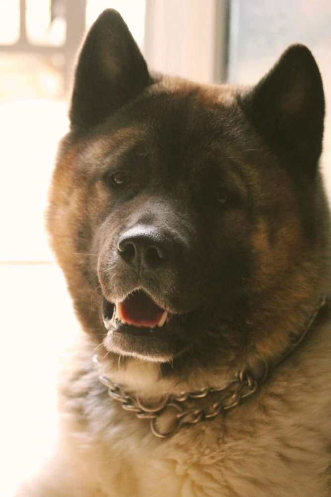 GIF ajouté par Playerone76