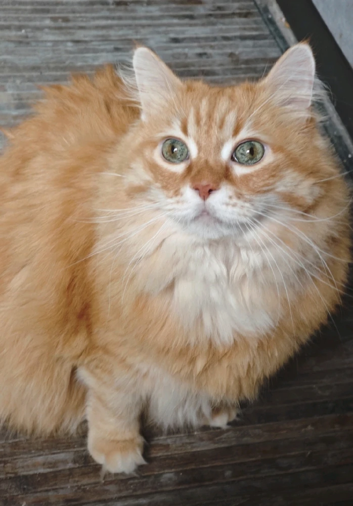 GIF caricata da Christian