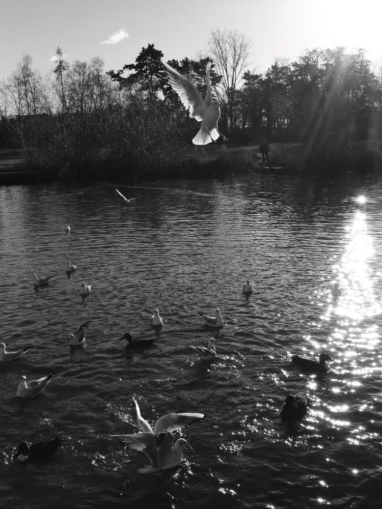 Image uploaded by Gilberto