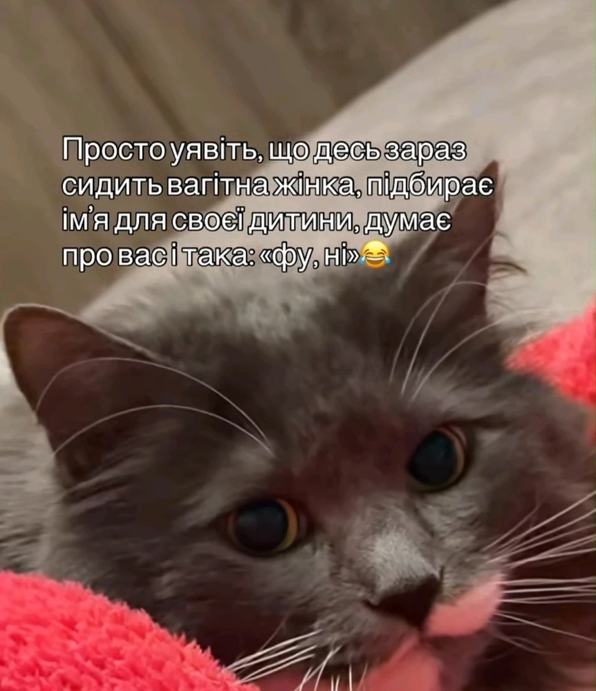 Гіфку завантажив Андрій