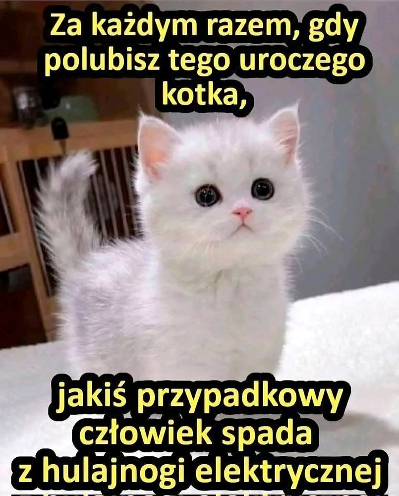GIF dodany przez Mariusz