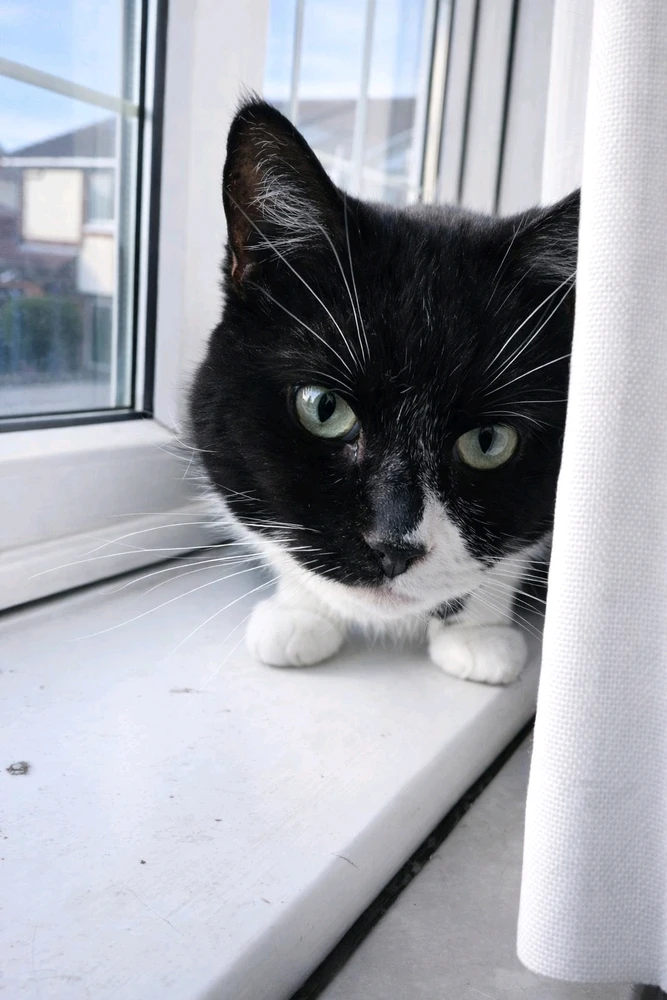 GIF uploaded by 𝓢𝓮𝓻𝓮𝓷 • 𝓢𝓮𝓻𝓮𝓷𝓭𝓲𝓹𝓲𝓽𝔂