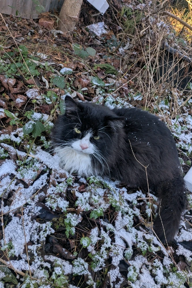 Image uploaded by 𝓢𝓮𝓻𝓮𝓷 • 𝓢𝓮𝓻𝓮𝓷𝓭𝓲𝓹𝓲𝓽𝔂