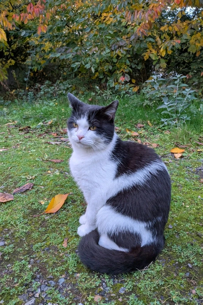 Image uploaded by 𝓢𝓮𝓻𝓮𝓷 • 𝓢𝓮𝓻𝓮𝓷𝓭𝓲𝓹𝓲𝓽𝔂