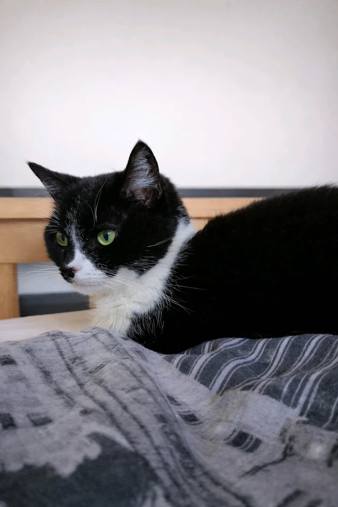 Image uploaded by 𝓢𝓮𝓻𝓮𝓷 • 𝓢𝓮𝓻𝓮𝓷𝓭𝓲𝓹𝓲𝓽𝔂