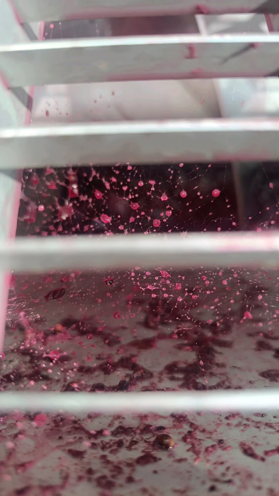 Image ajoutée par Alex