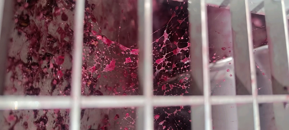 Image ajoutée par Alex