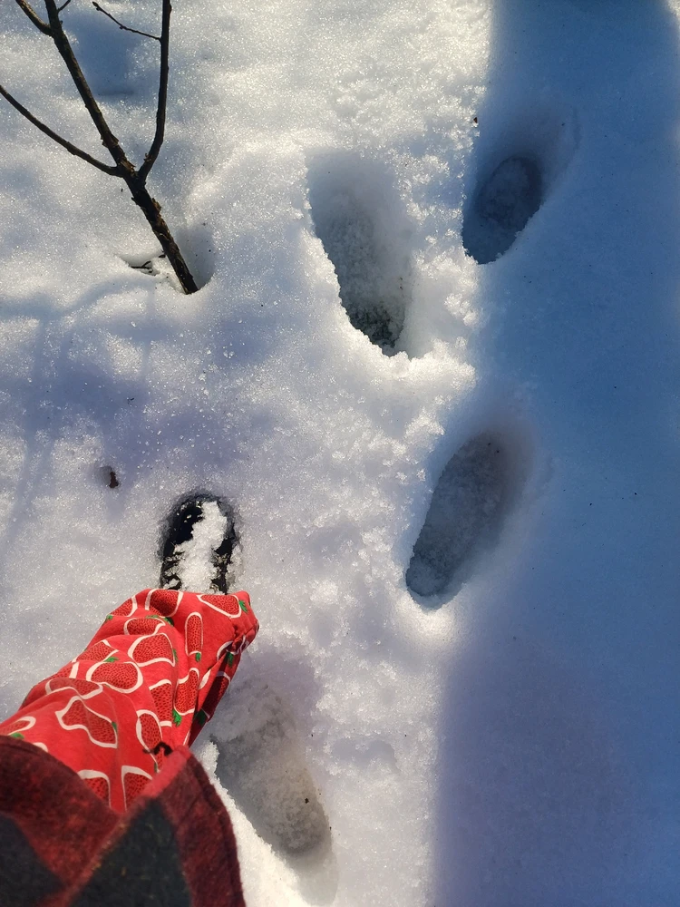 Ayçiçeği tarafından yüklenen görsel