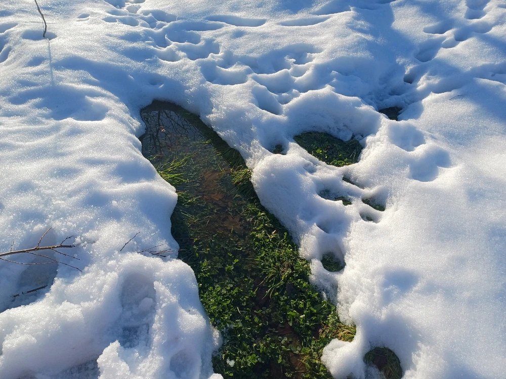 Ayçiçeği tarafından yüklenen görsel