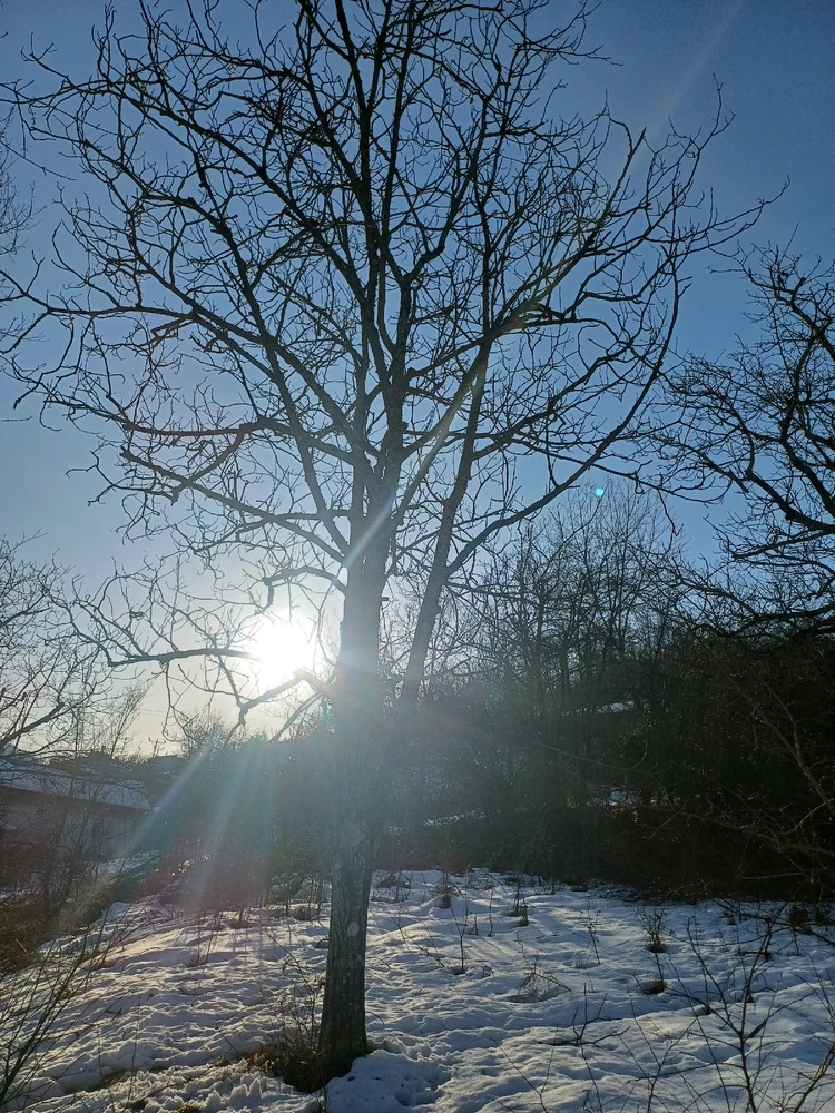 Ayçiçeği tarafından yüklenen görsel