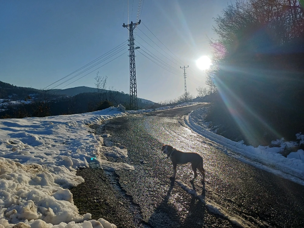 Ayçiçeği tarafından yüklenen görsel