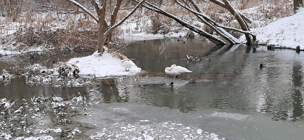 Zdjęcie dodane przez Stella