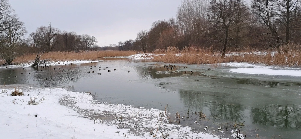 Zdjęcie dodane przez Stella