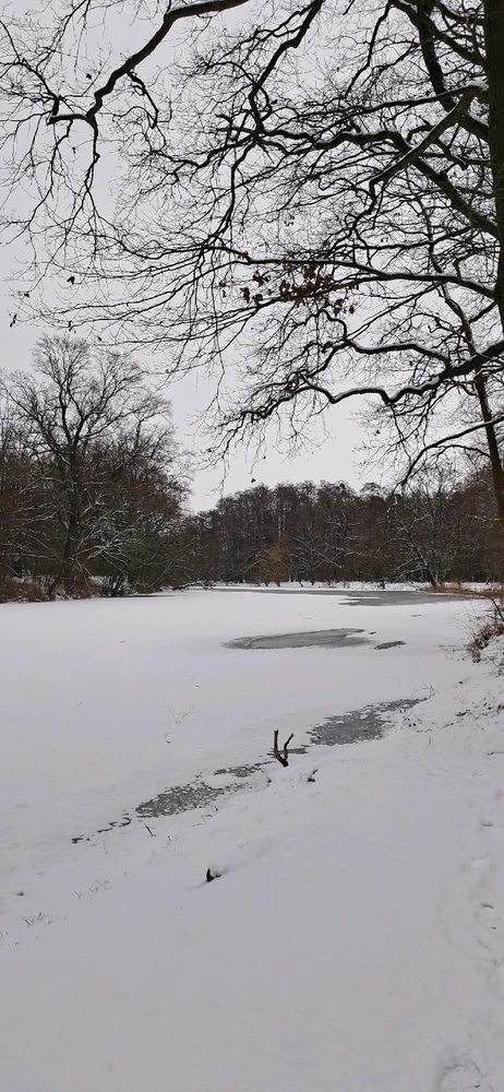Zdjęcie dodane przez Stella