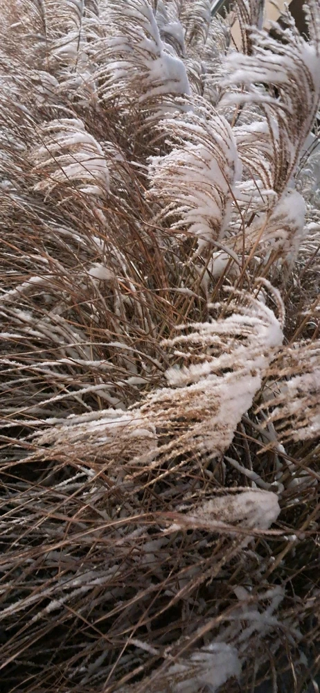 Zdjęcie dodane przez Stella