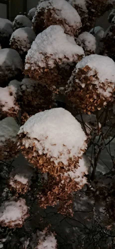 Zdjęcie dodane przez Stella