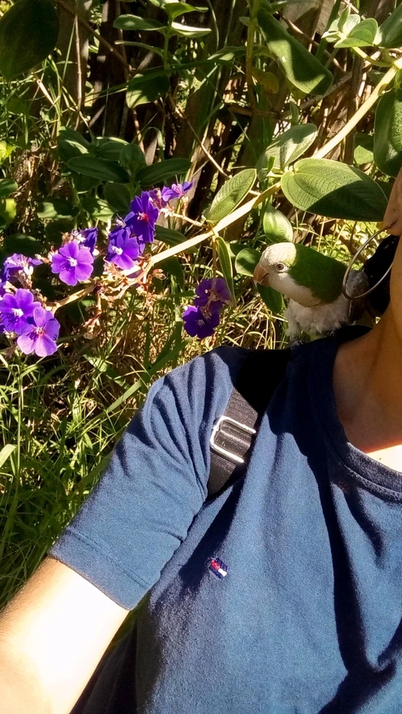 GIF subido por Nahia