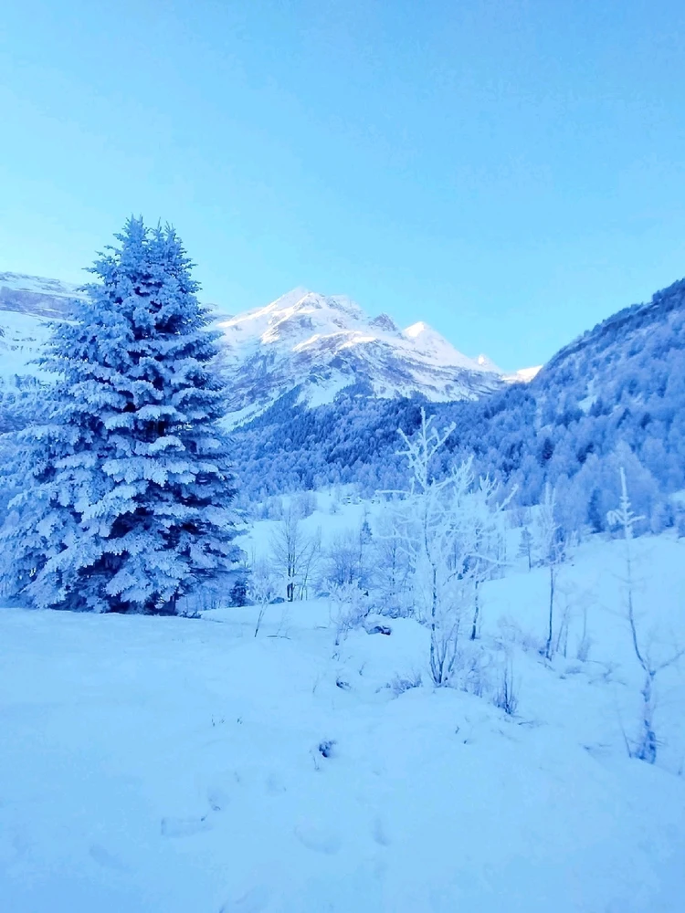 Image ajoutée par Stef