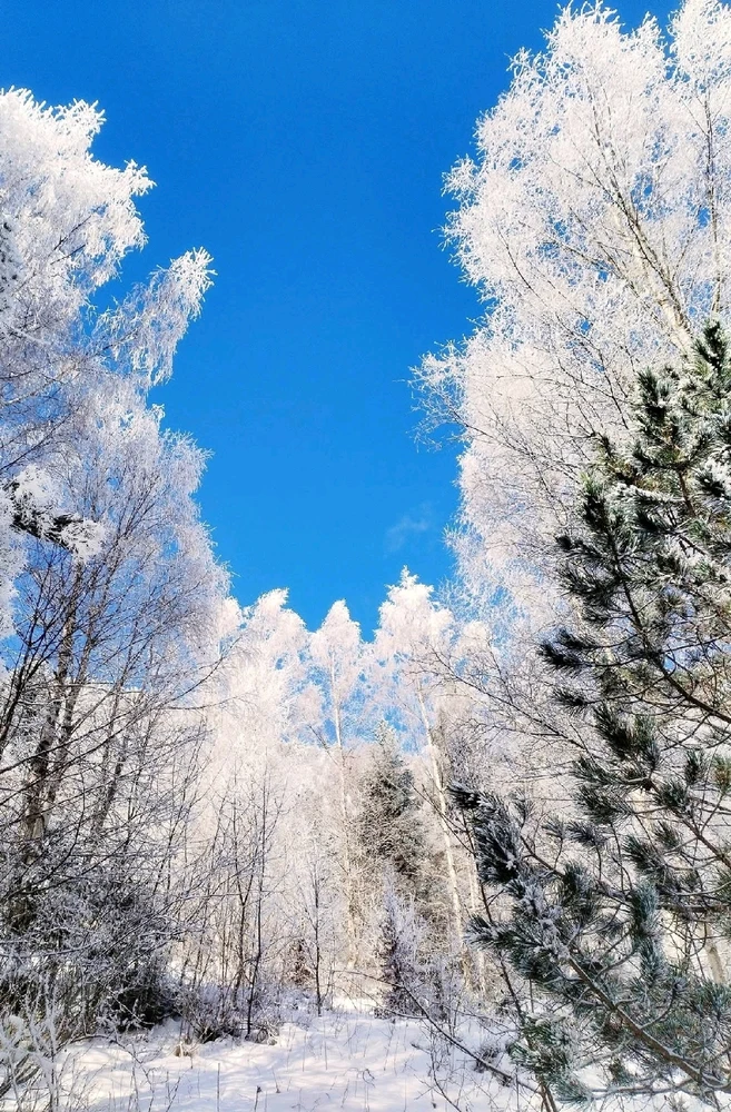 Image ajoutée par Stef