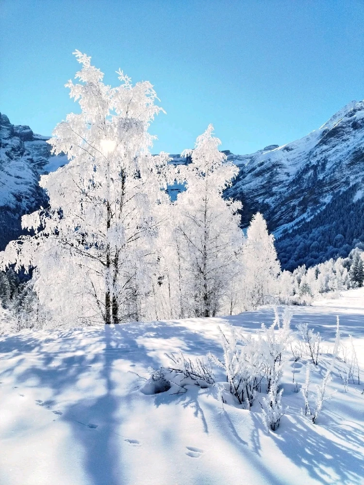 Image ajoutée par Stef