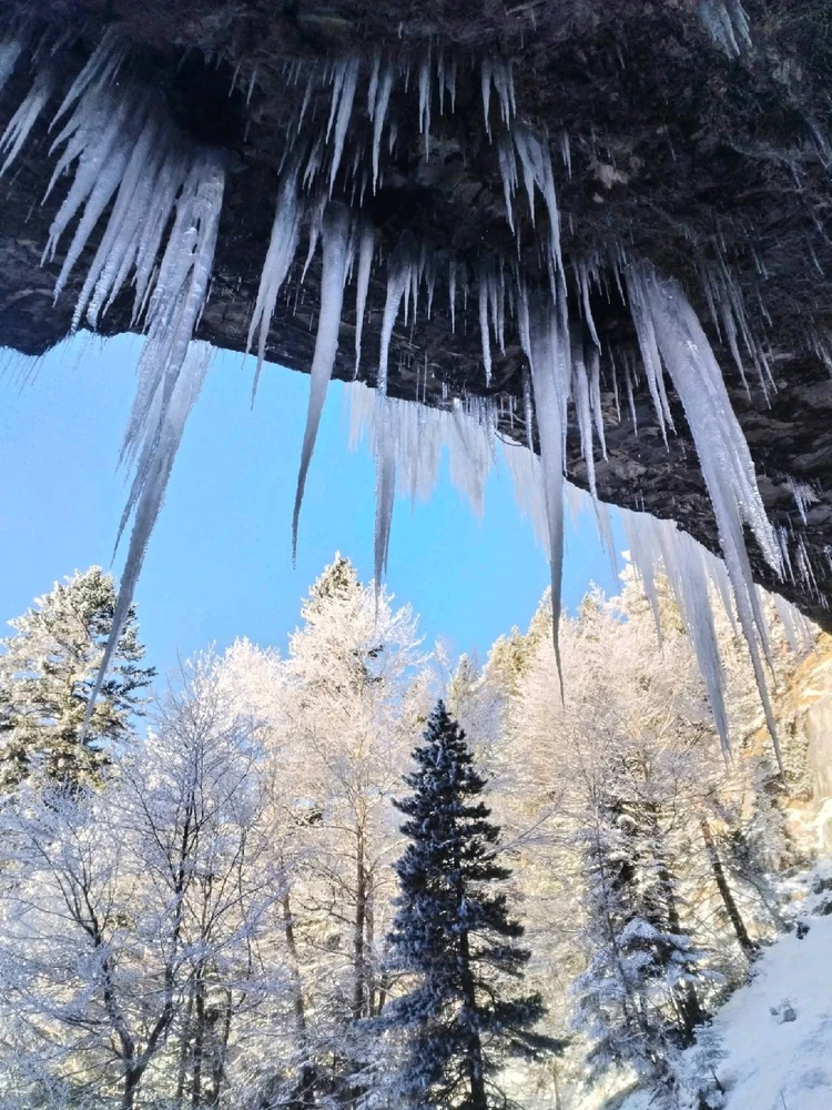 Image ajoutée par Stef