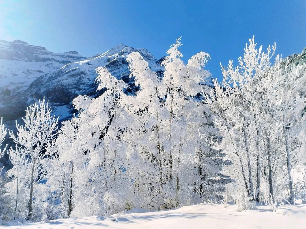 Image ajoutée par Stef